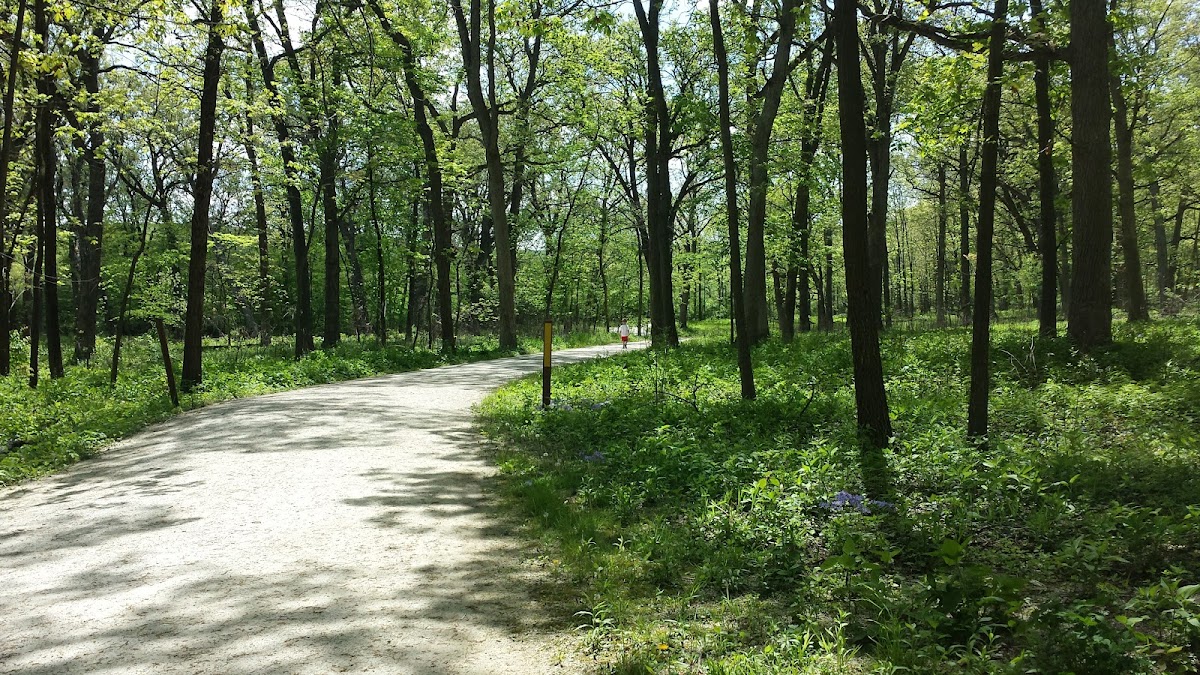 Greene Valley