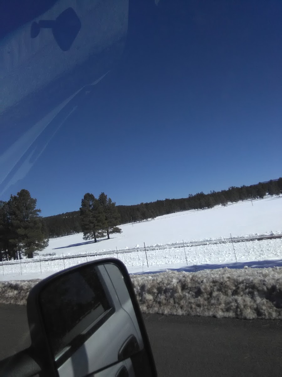 Pumphouse County Natural Area