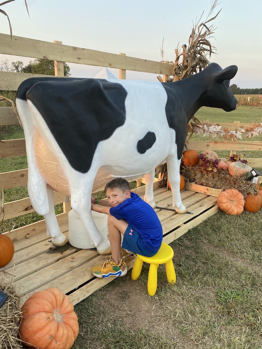 Feemster’s Corn Maze