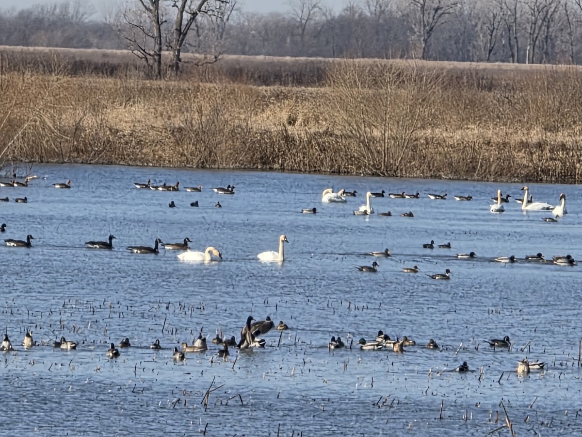 Loess Bluffs National Wildlife Refuge