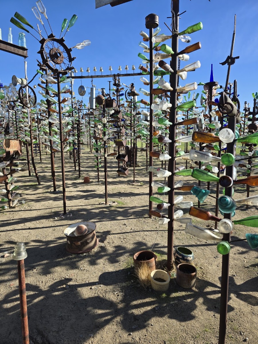 Elmer's Bottle Tree Ranch