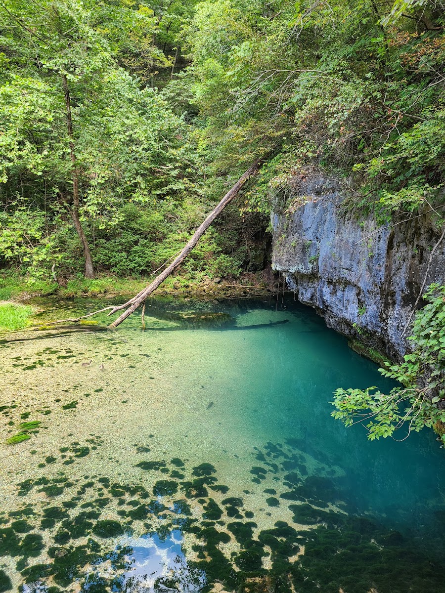 Ha Ha Tonka State Park