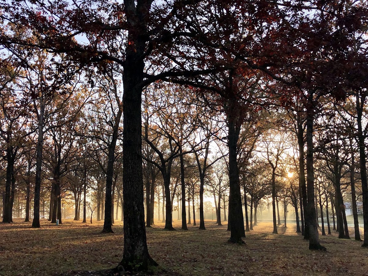 Memorial Park