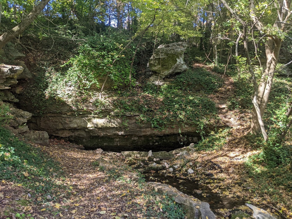 Sarcoxie Cave & Spring Natural Grounds