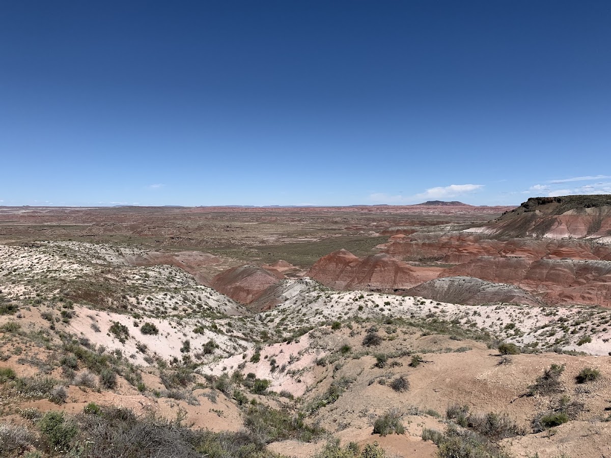 Whipple Point