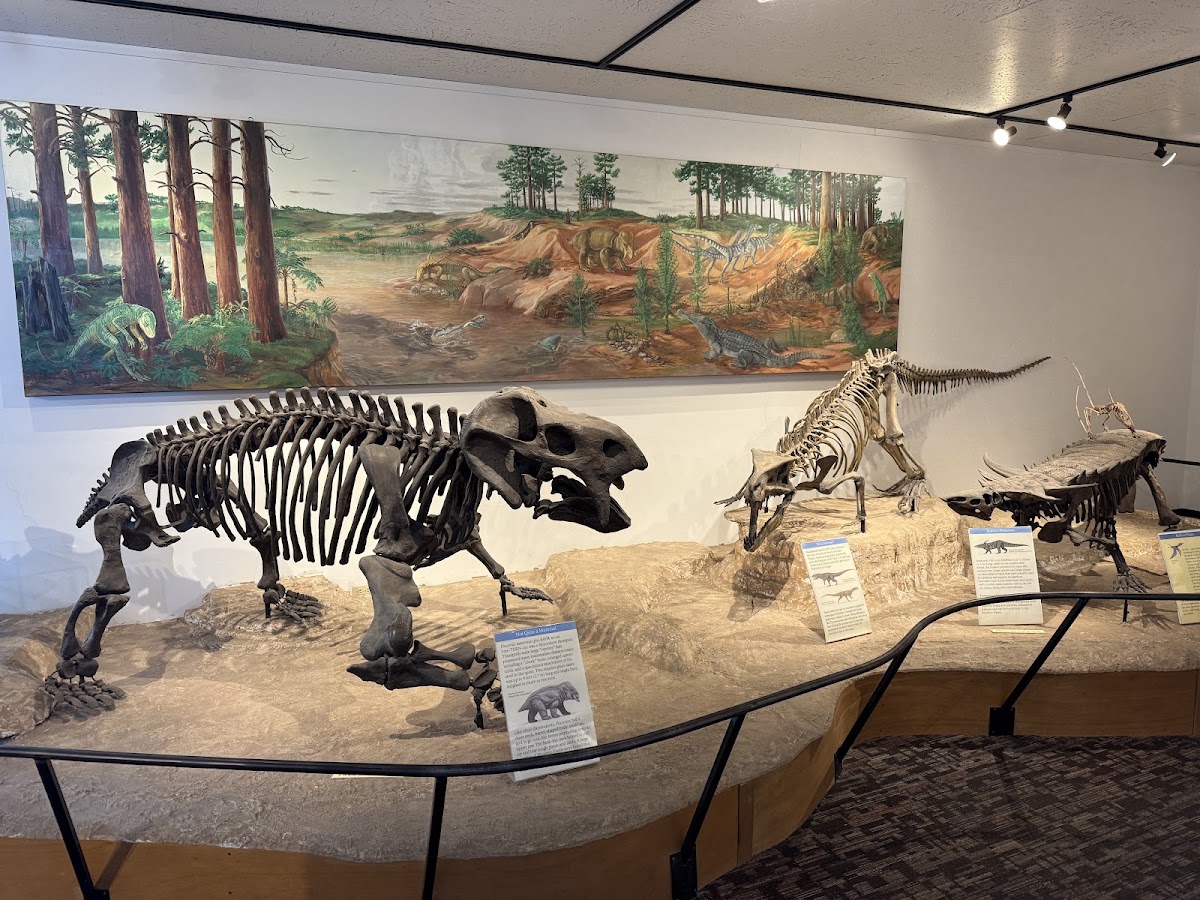 Rainbow Forest Museum and Visitor Center