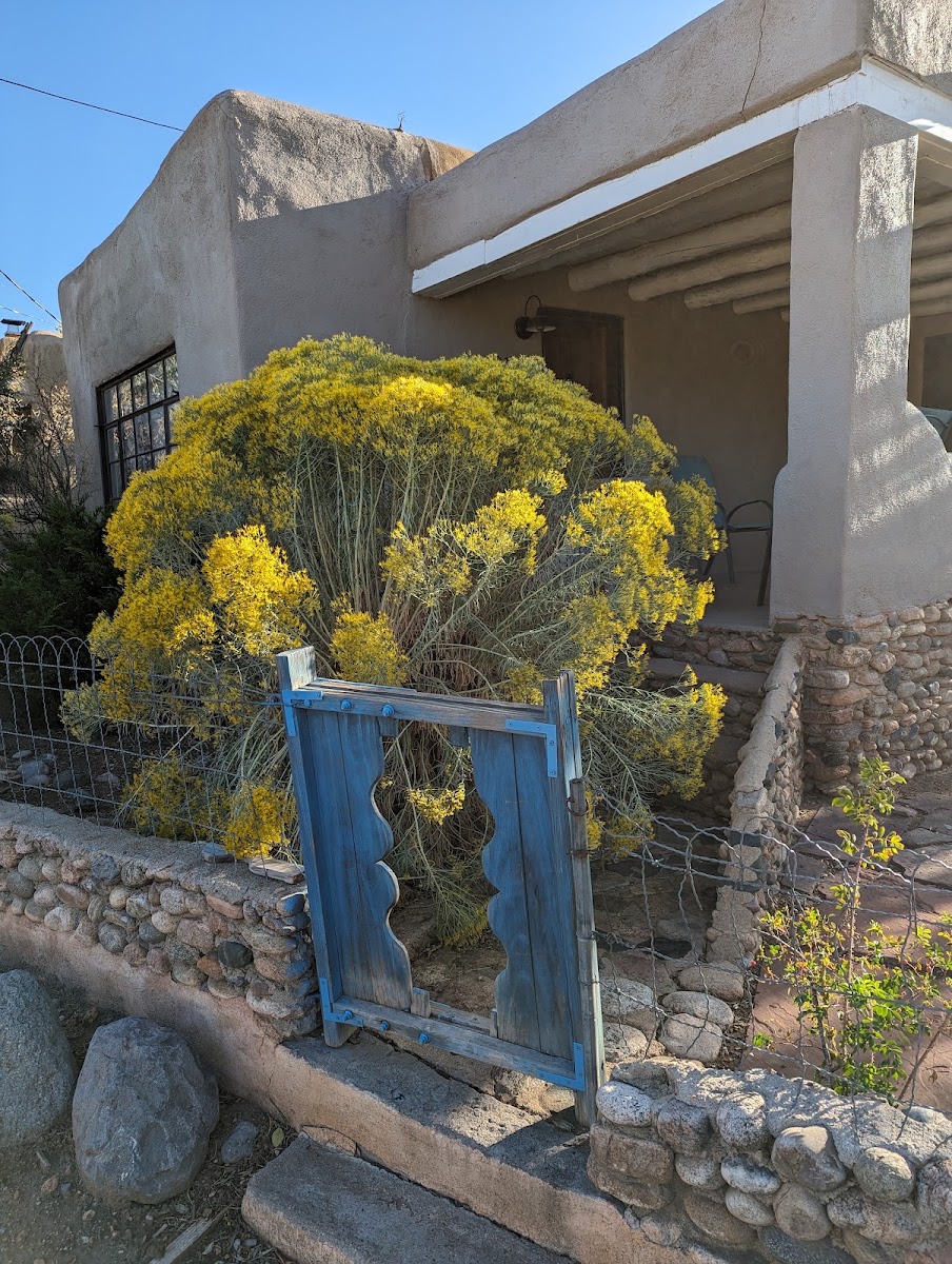 The Clementine House