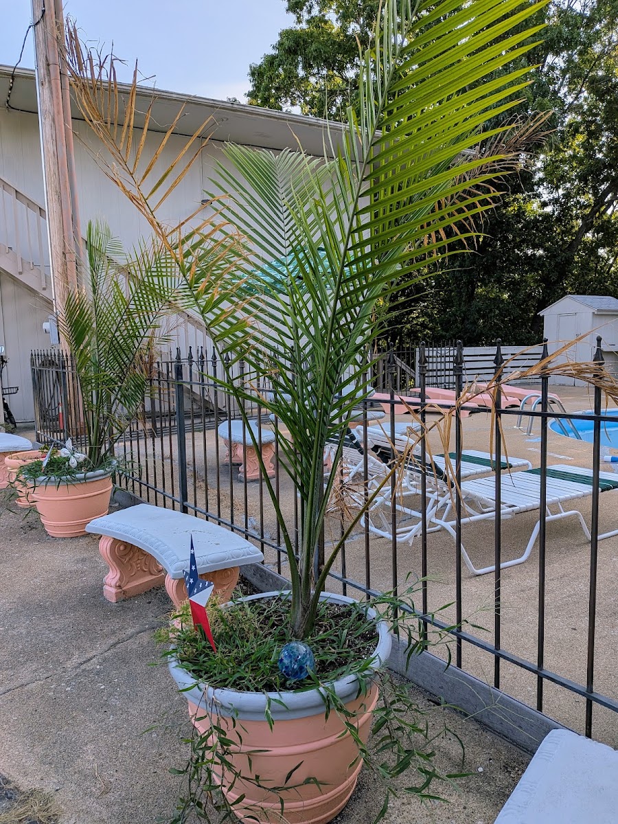 Mountain Country Motor Inn