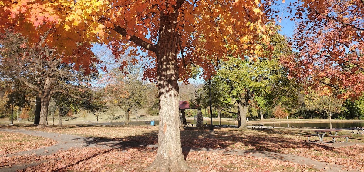 Doling Park