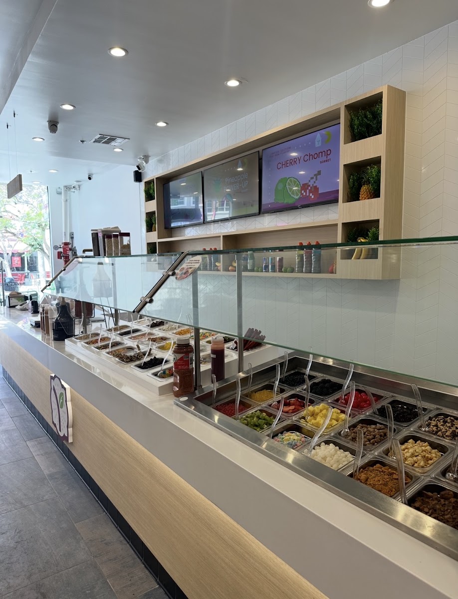 Yogurtland Santa Monica Promenade