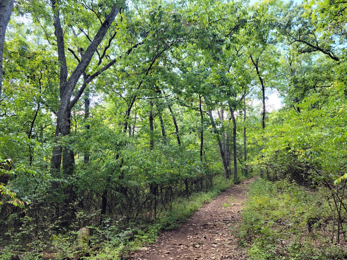 Fabick Nature Preserve