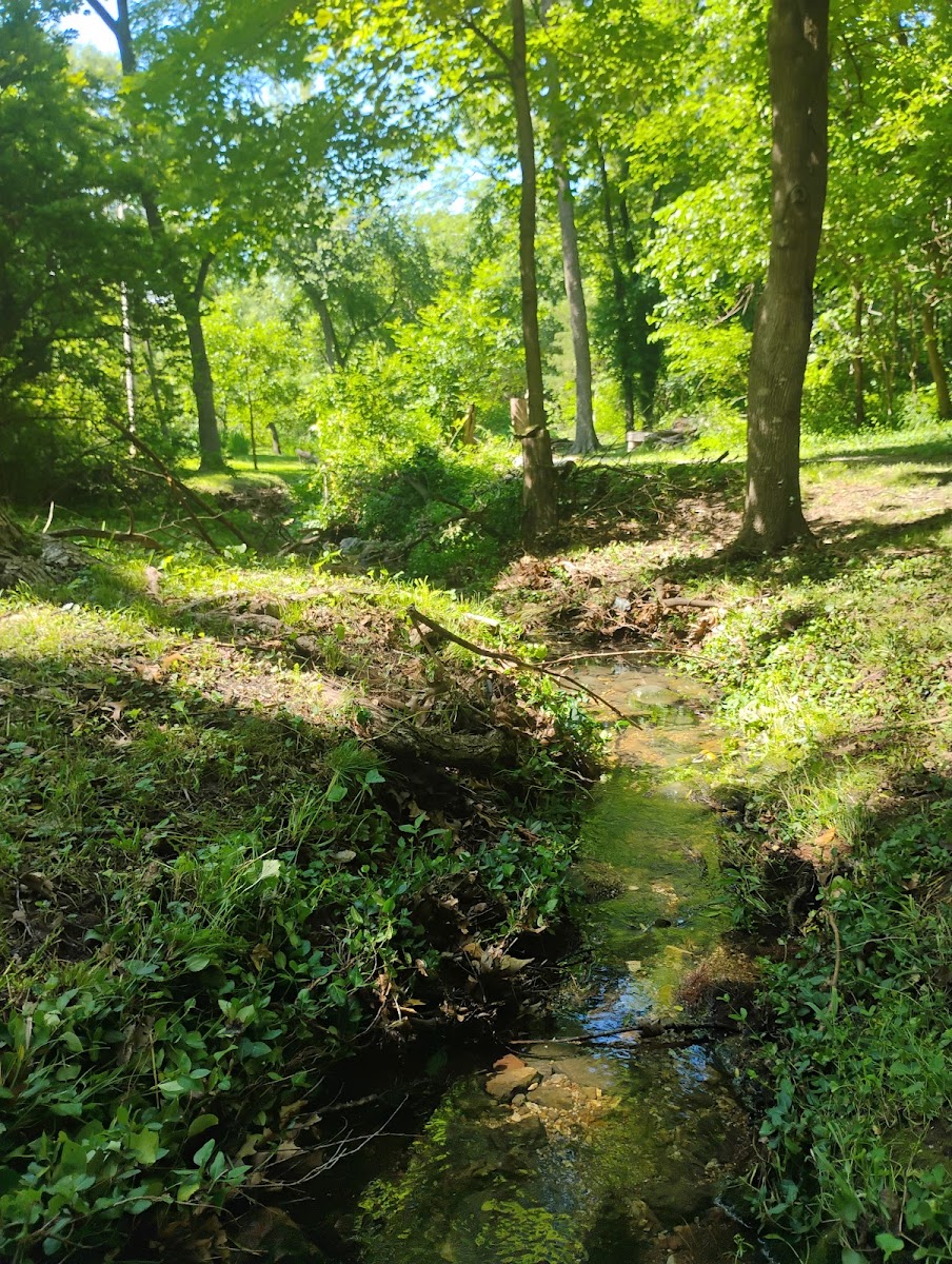 Hidden Waters Nature Park