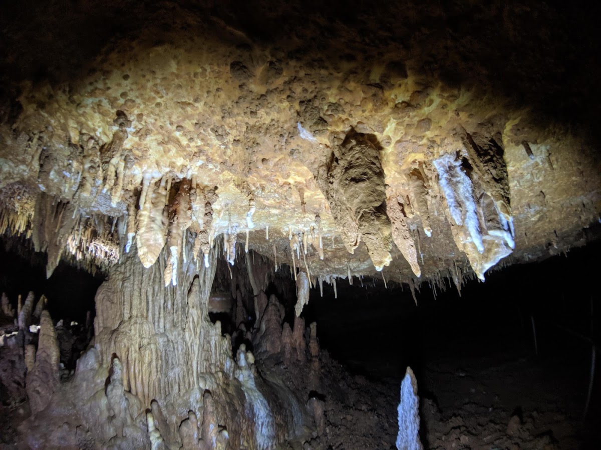 Cathedral Cave