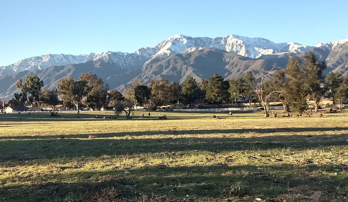 Windrows Park