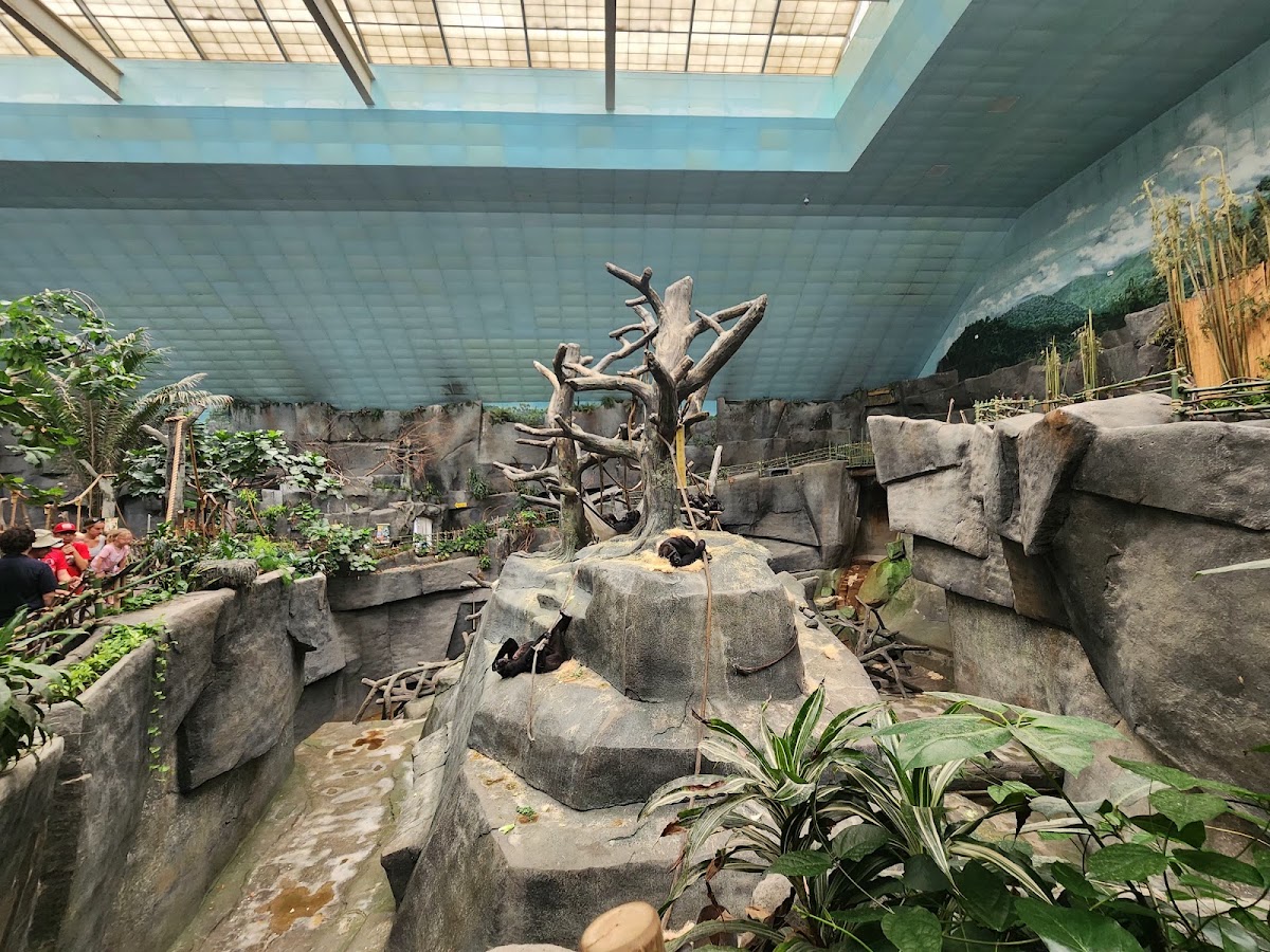 Tropic World