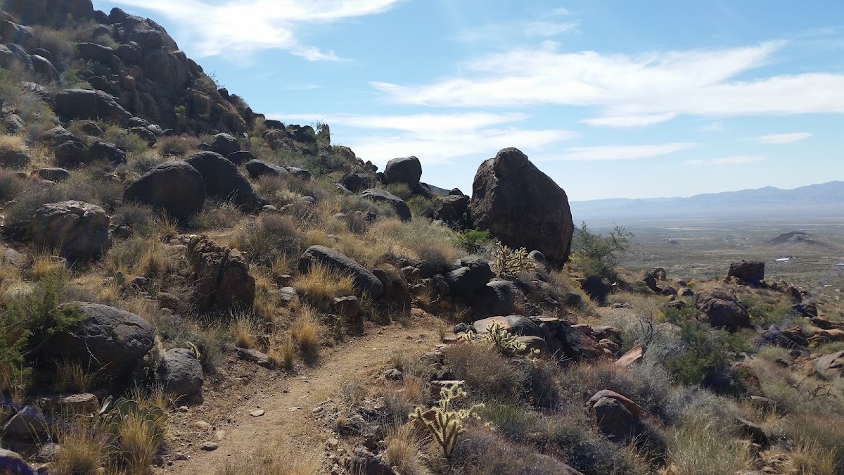 Badger Trail