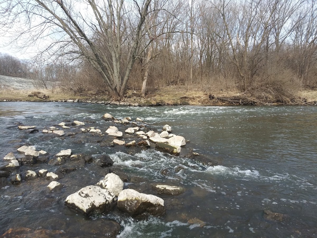 McDowell Grove Forest Preserve