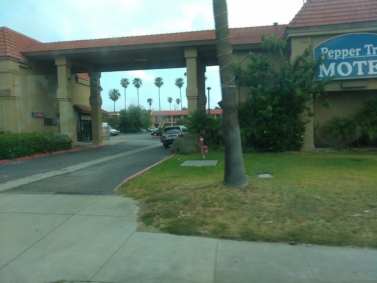 Pepper Tree Motel