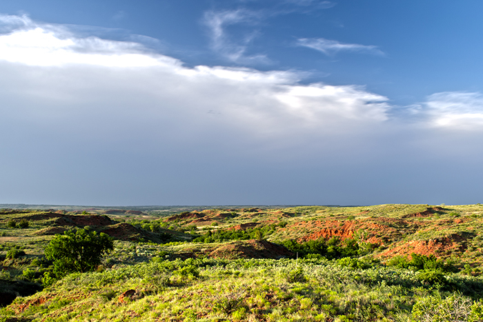 Black Kettle National Grassland