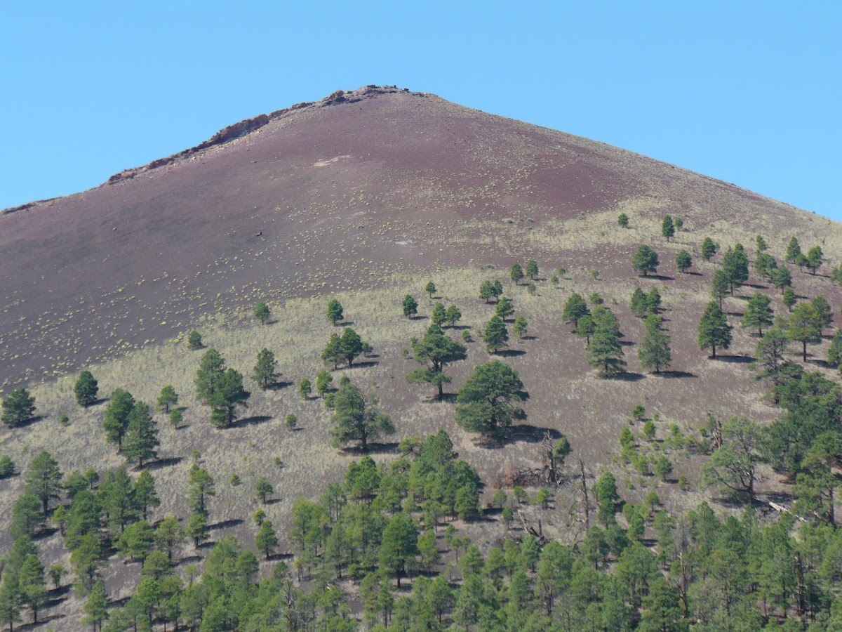 Sunset Crater Volcano National Monument