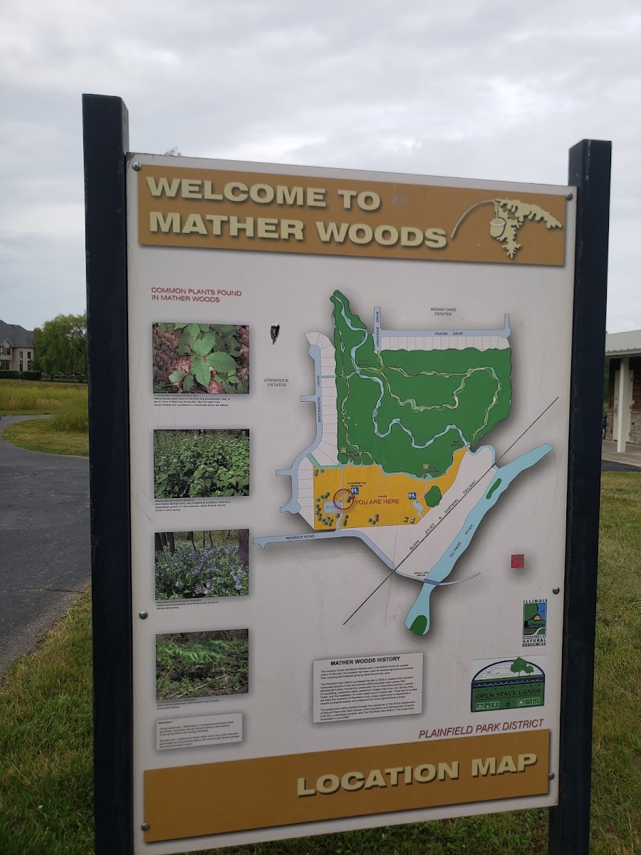Mather Woods