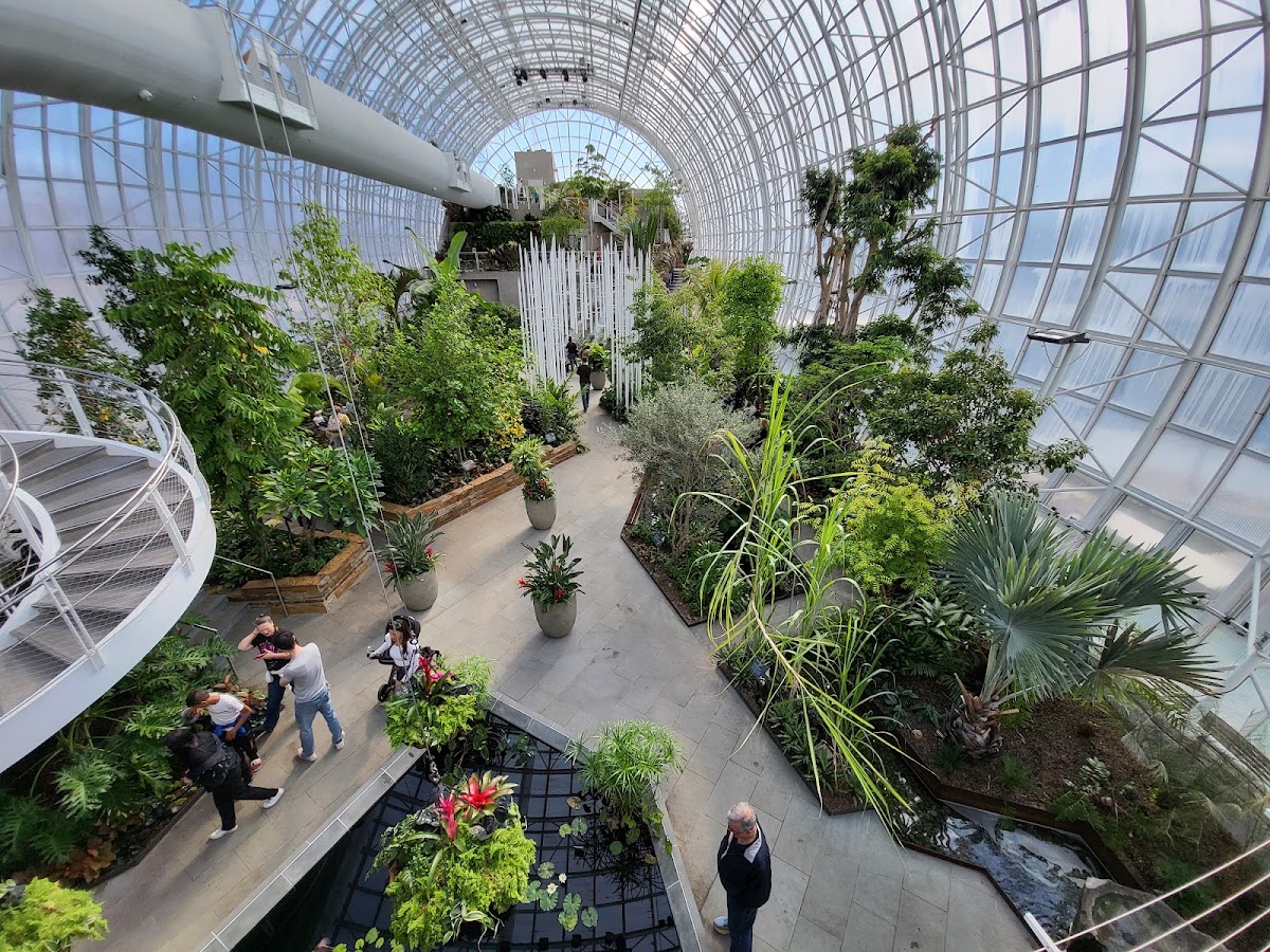 Myriad Botanical Gardens