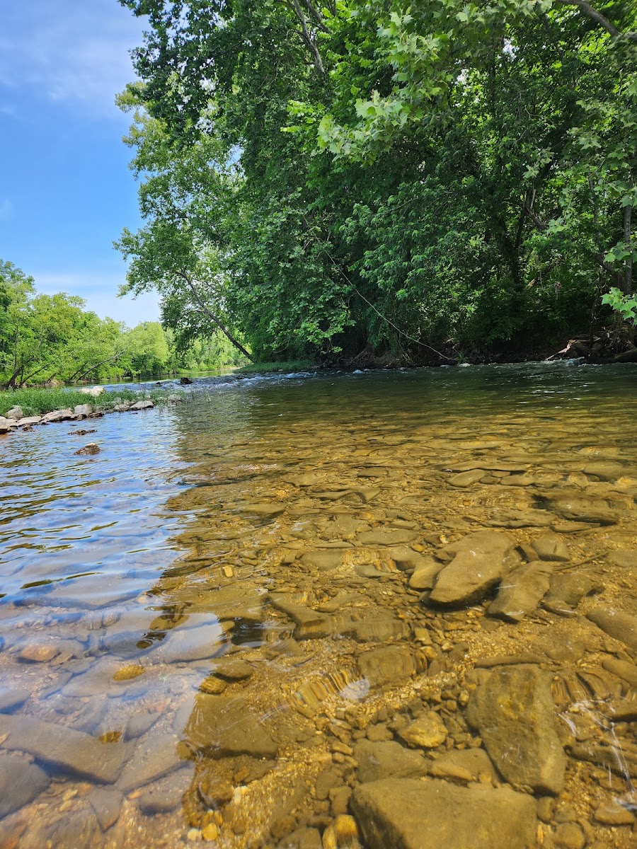 Ozark Parks & Recreation