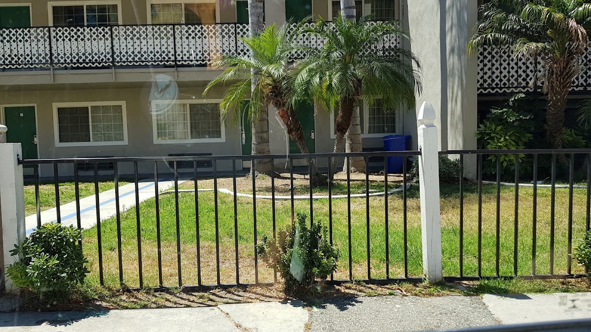 Lemon Tree Inn