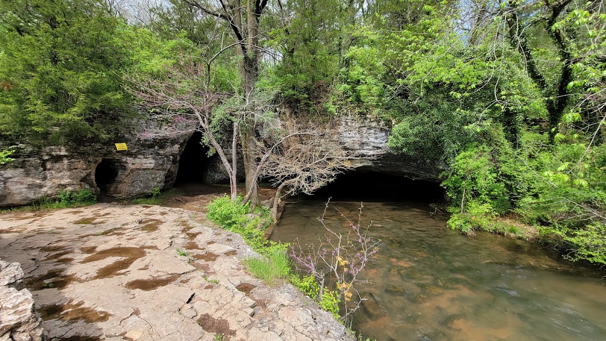 Sequiota Park