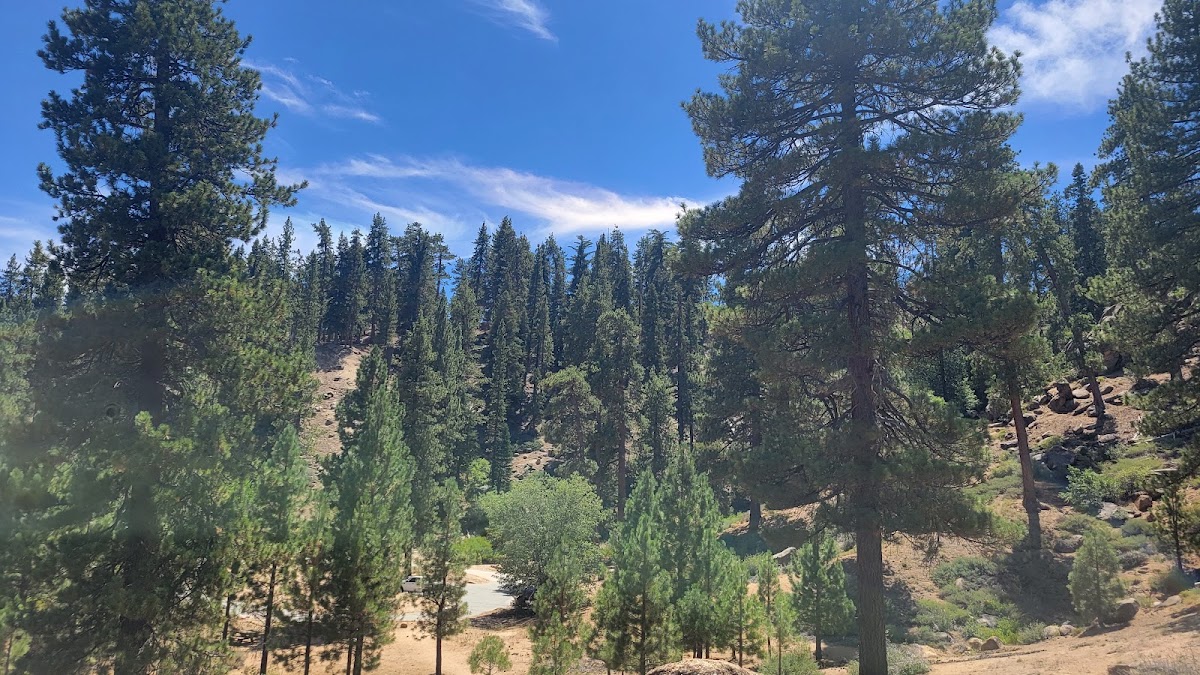 San Bernardino National Forest