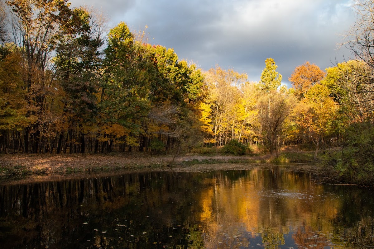 Humiston Woods Nature Preserve