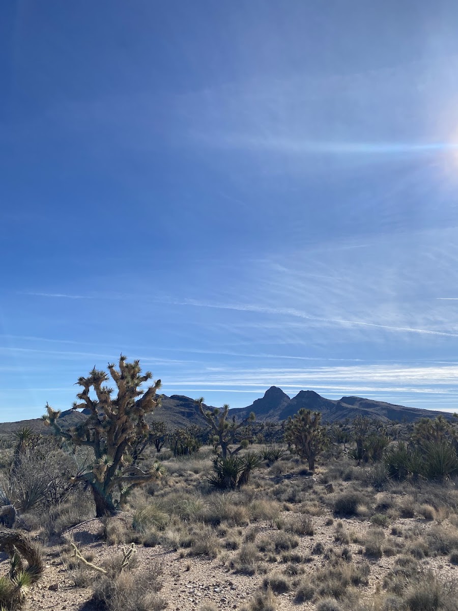 Castle Mountains National Monument