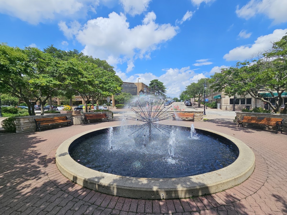 Dandelion Fountain