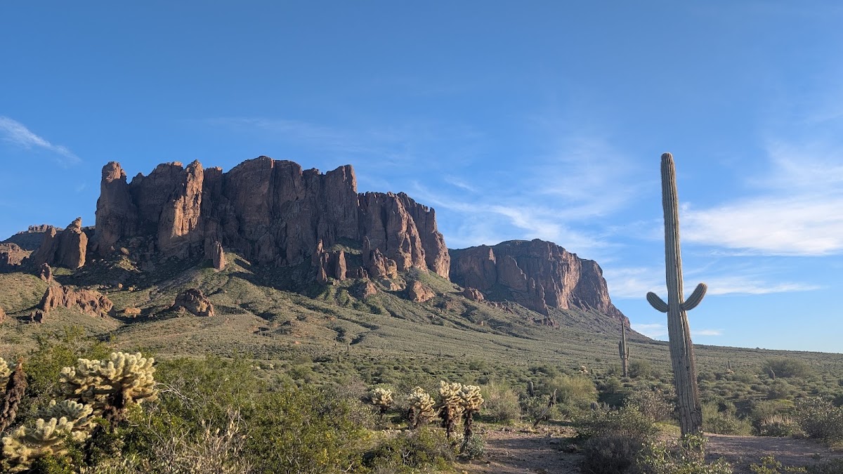 Tonto National Forest