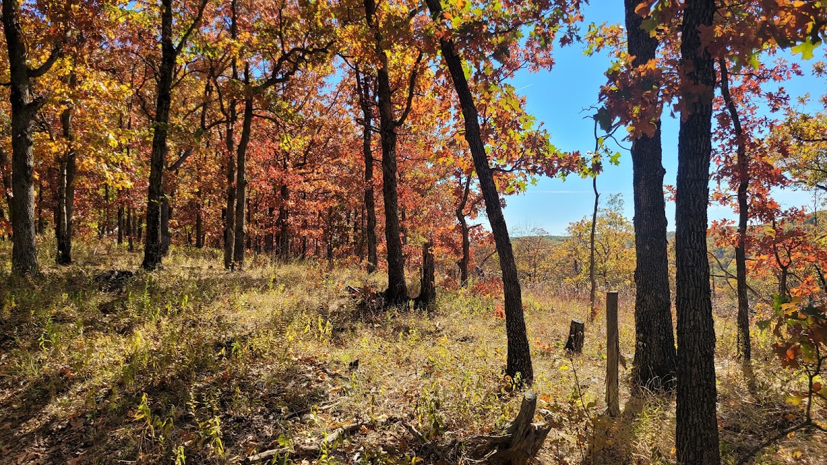 Spring Creek Gap Conservation Area