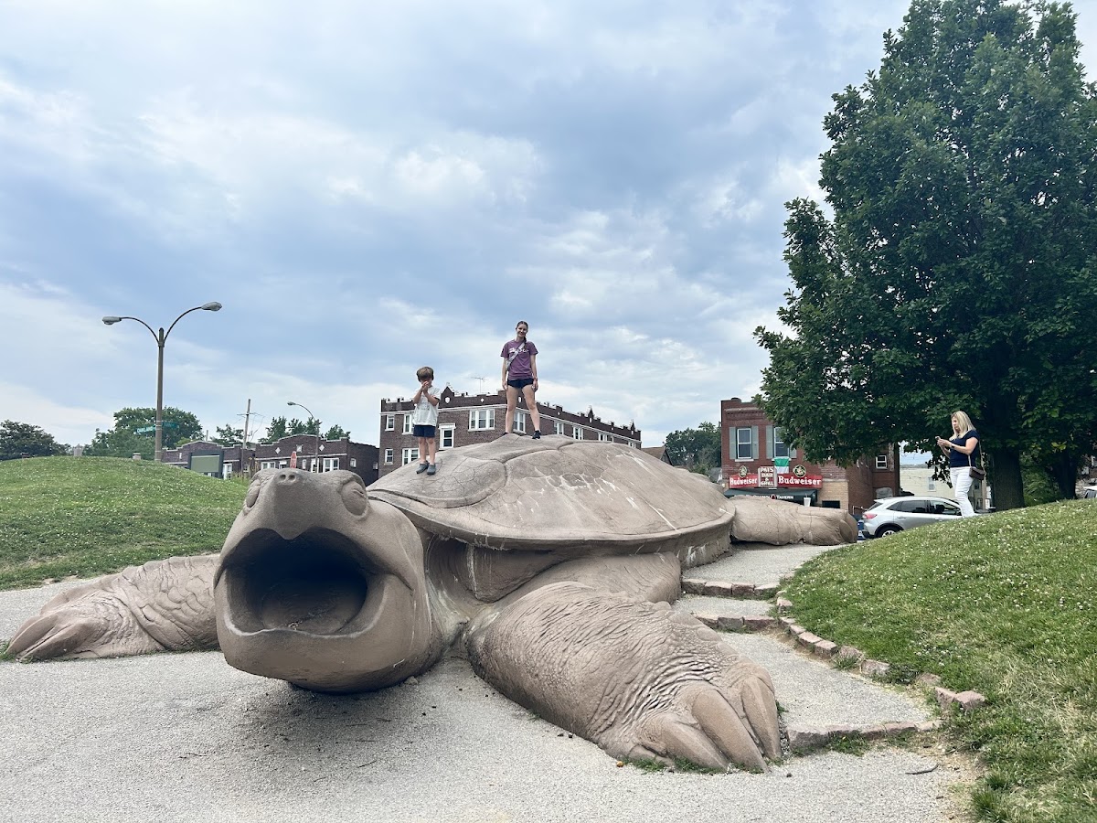 Turtle Playground