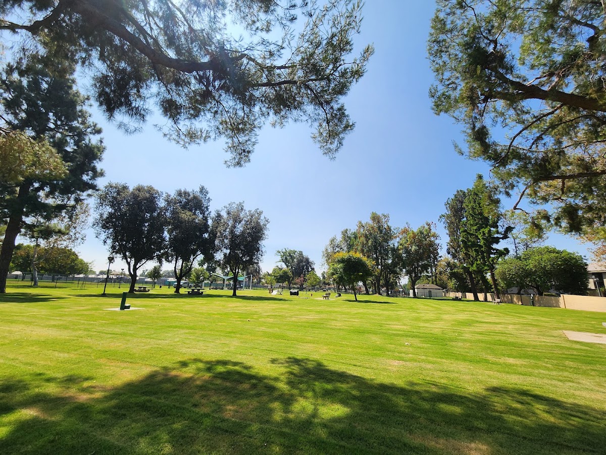 Baldy View Dog Park