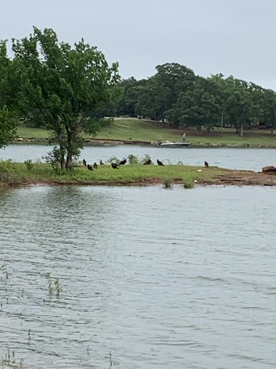 Arcadia Lake Park Office