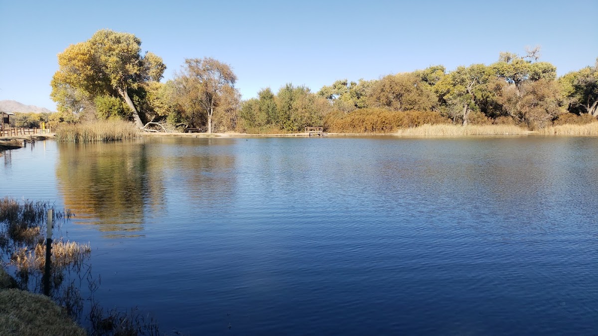 Mojave Narrows Regional Park