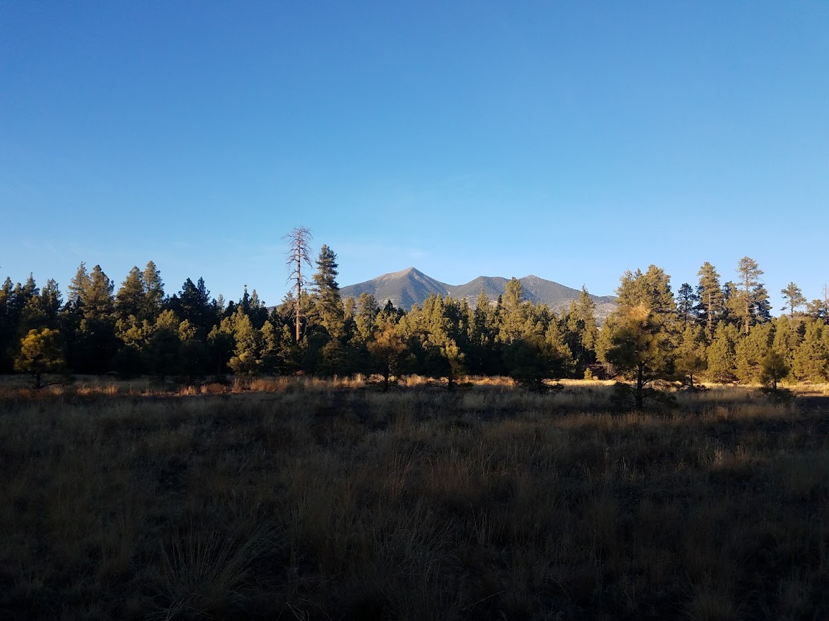 Fort Valley Trailhead