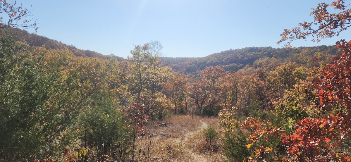 Cedar Gap Conservation Area