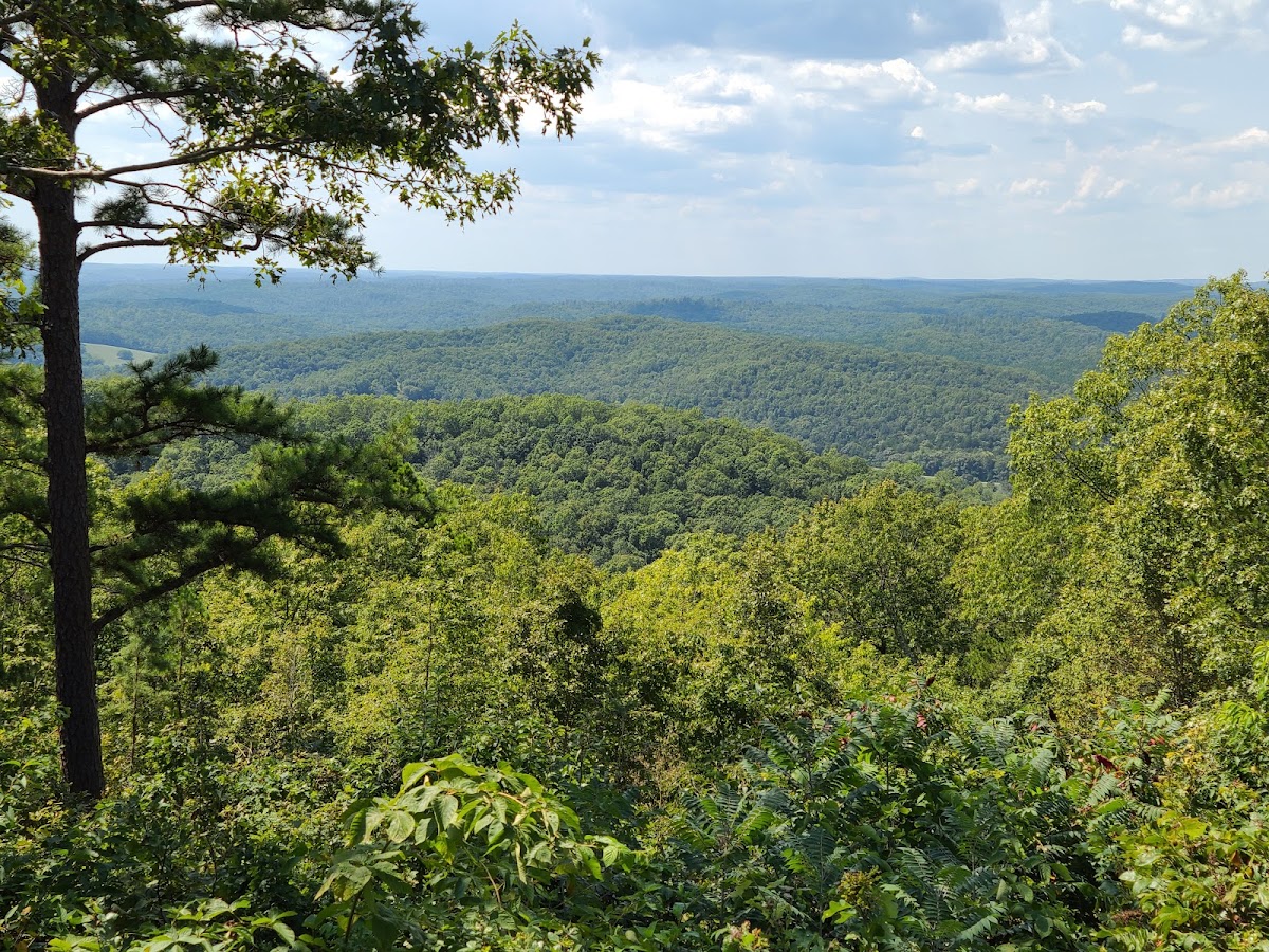 Mark Twain National Forest