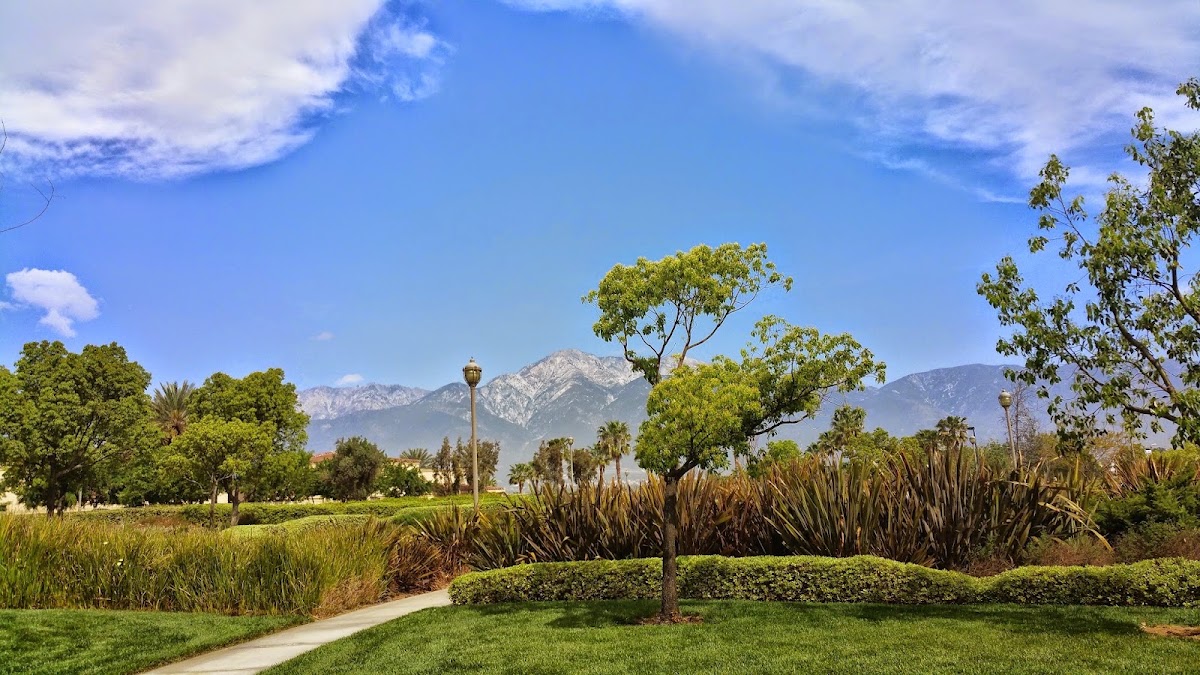 Central Park