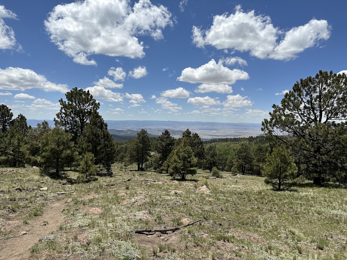 Gooseberry Springs Trail