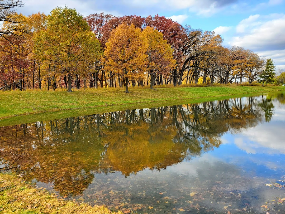 Wood Ridge