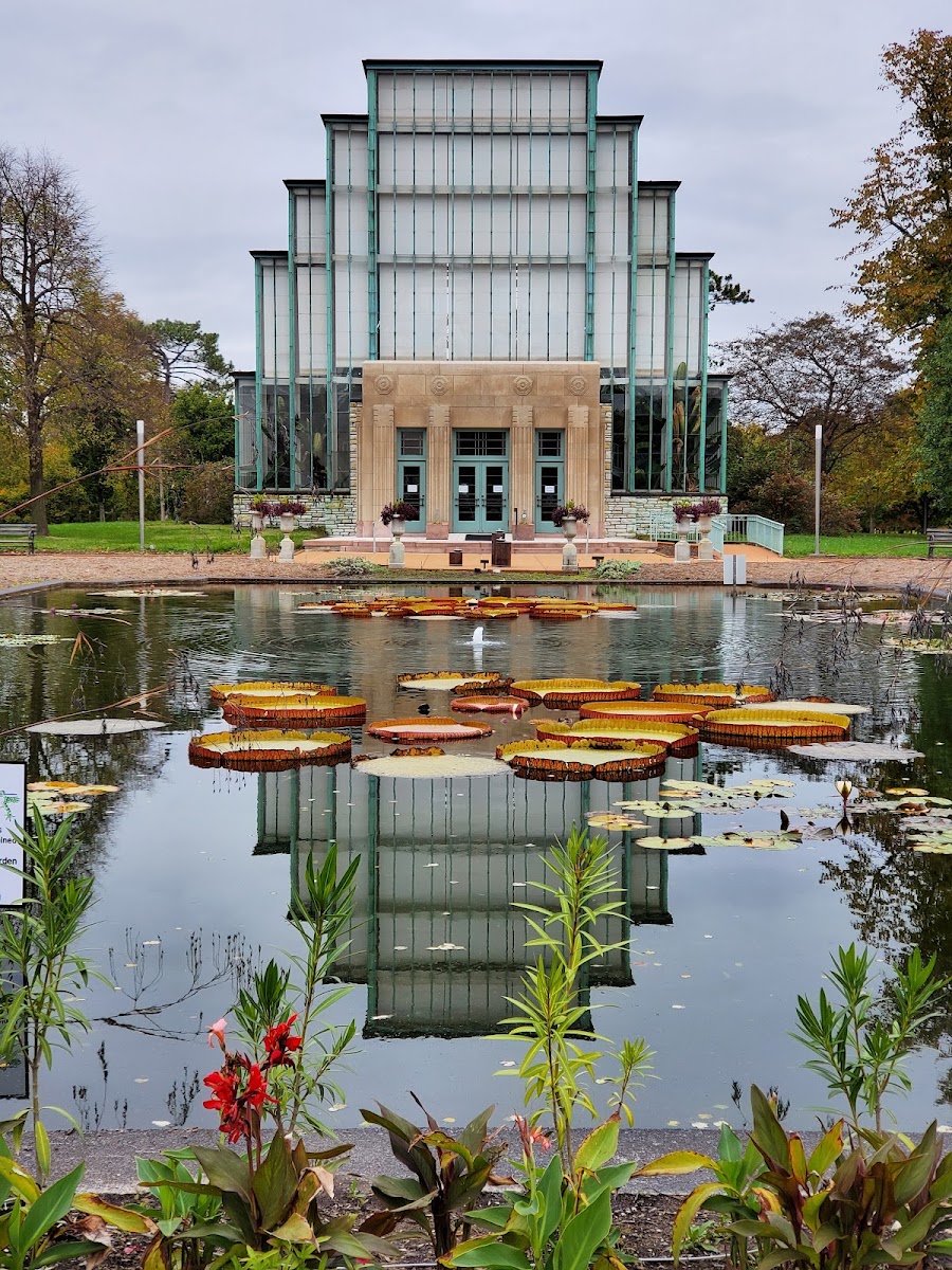 Jewel Box