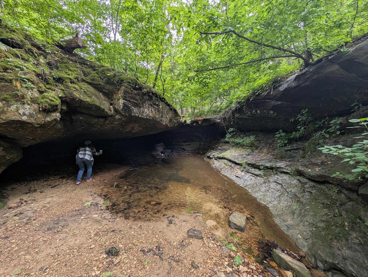 Labarque Creek Conservation Area