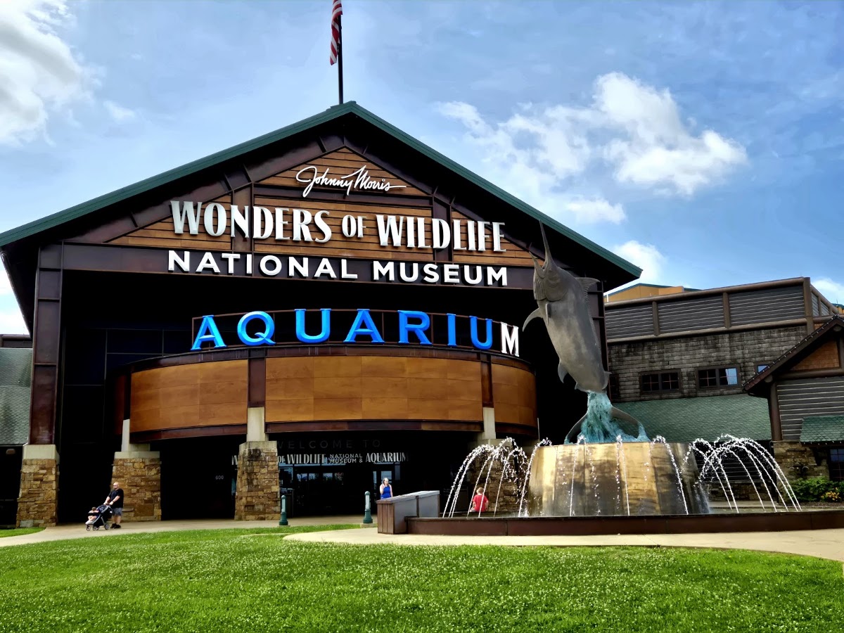 Wonders Of Wildlife National Museum & Aquarium
