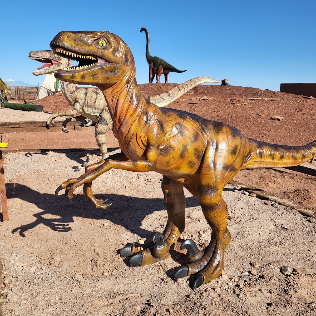 Dino Drive-Thru at Meteor City