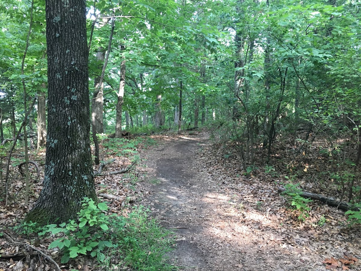 Emmenegger Nature Park